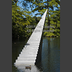 An image of an artist created stairway rising from a pond and diminishing to infinity in a tree.